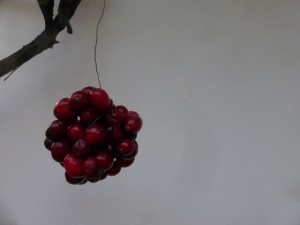 Cranberries 5(640x480)