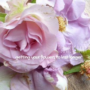 FlowerStart_online_flower_arranging_class