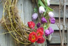 DIY: spring door